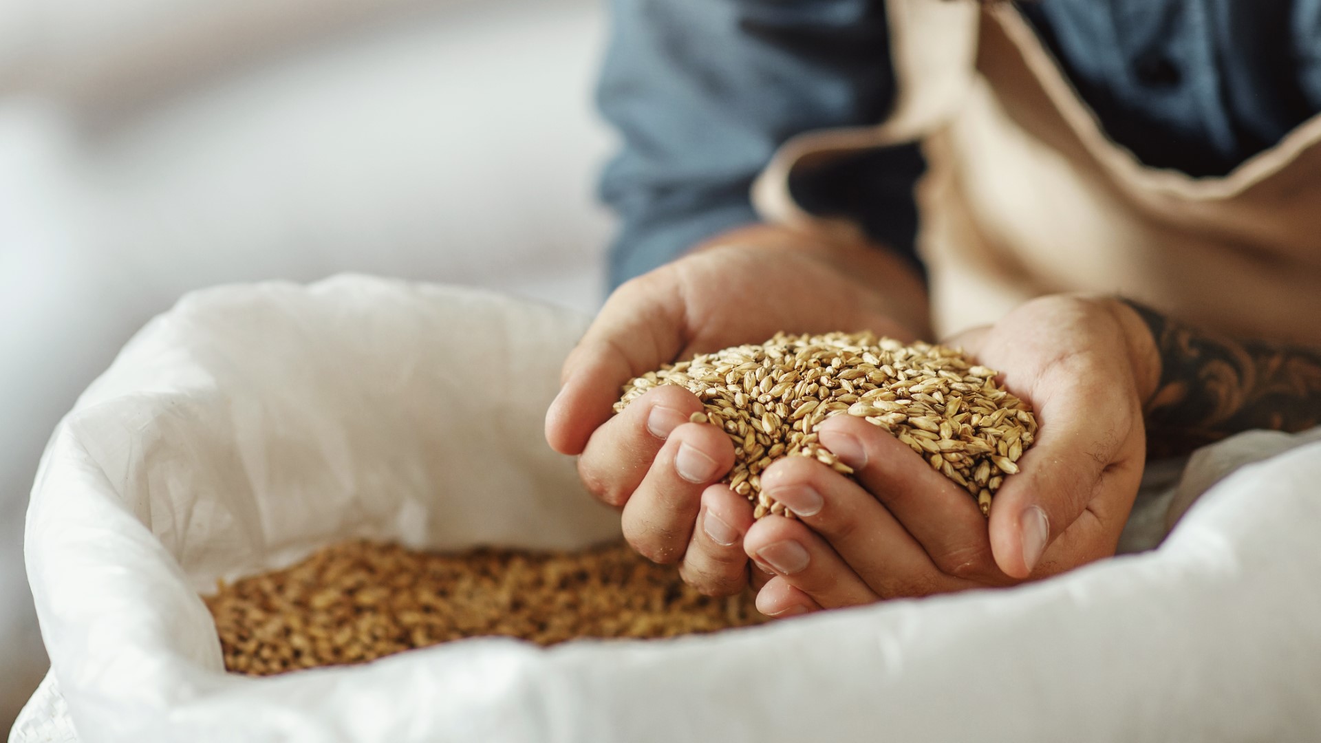Hands holding grains out of a sack.