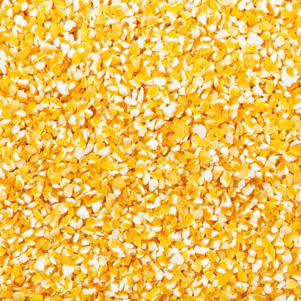 A picture of coarse ground corn. 
