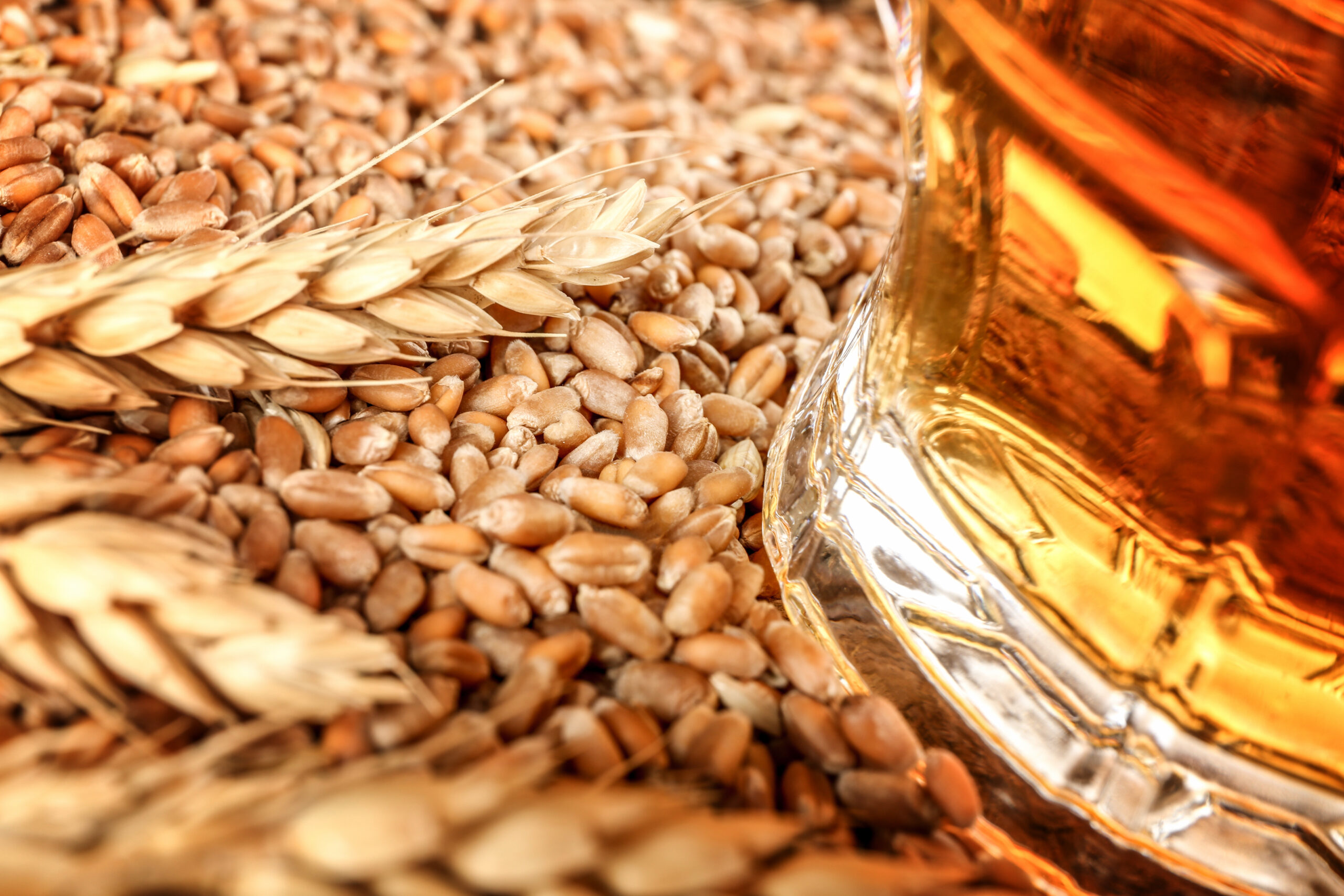 A glass of beer sits on top of grain and wheat.