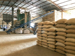 Stock of coffee in a warehouse.