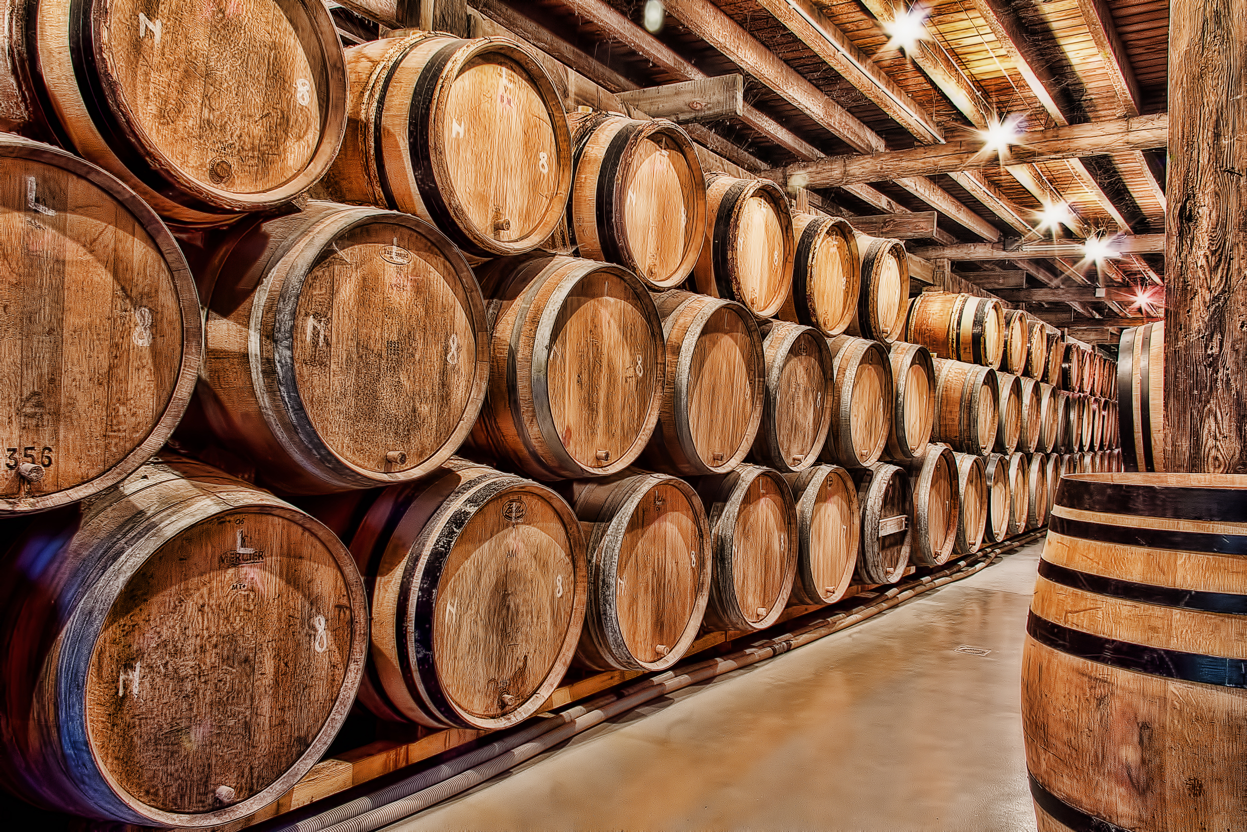 Oak barrels of maturing beer