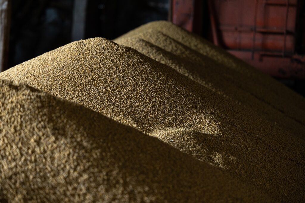 Piles of dried soybeans.