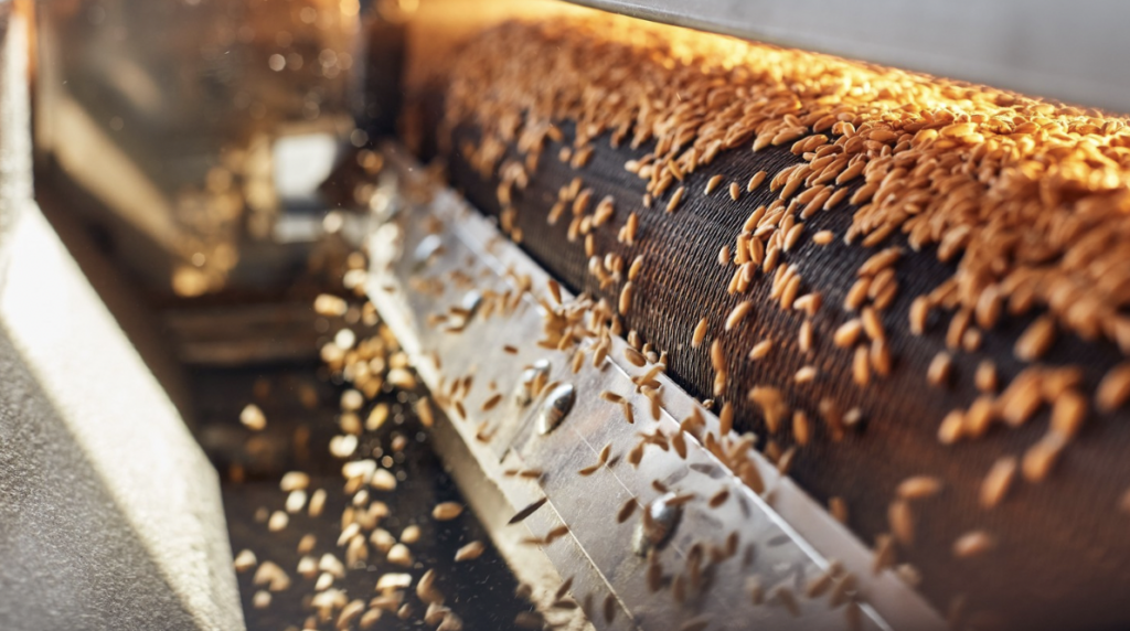 A load of grain being processed