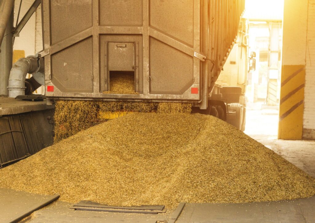 Truck unloading grain for feed pellet processing.