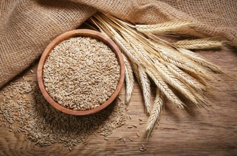 A bowl of rye grains next to rye stalks on a wooden table with a burlap sack.